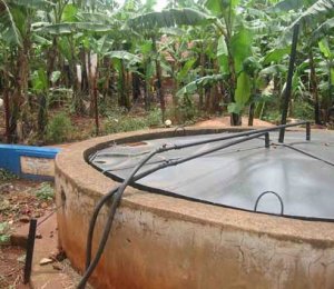 Biogas ở Việt Nam: Triển vọng trong tầm tay