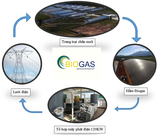 Sơ đồ dùng máy phát điện Biogas
